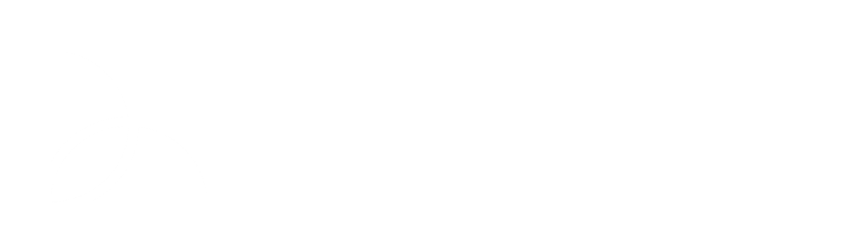 Global Hub Career